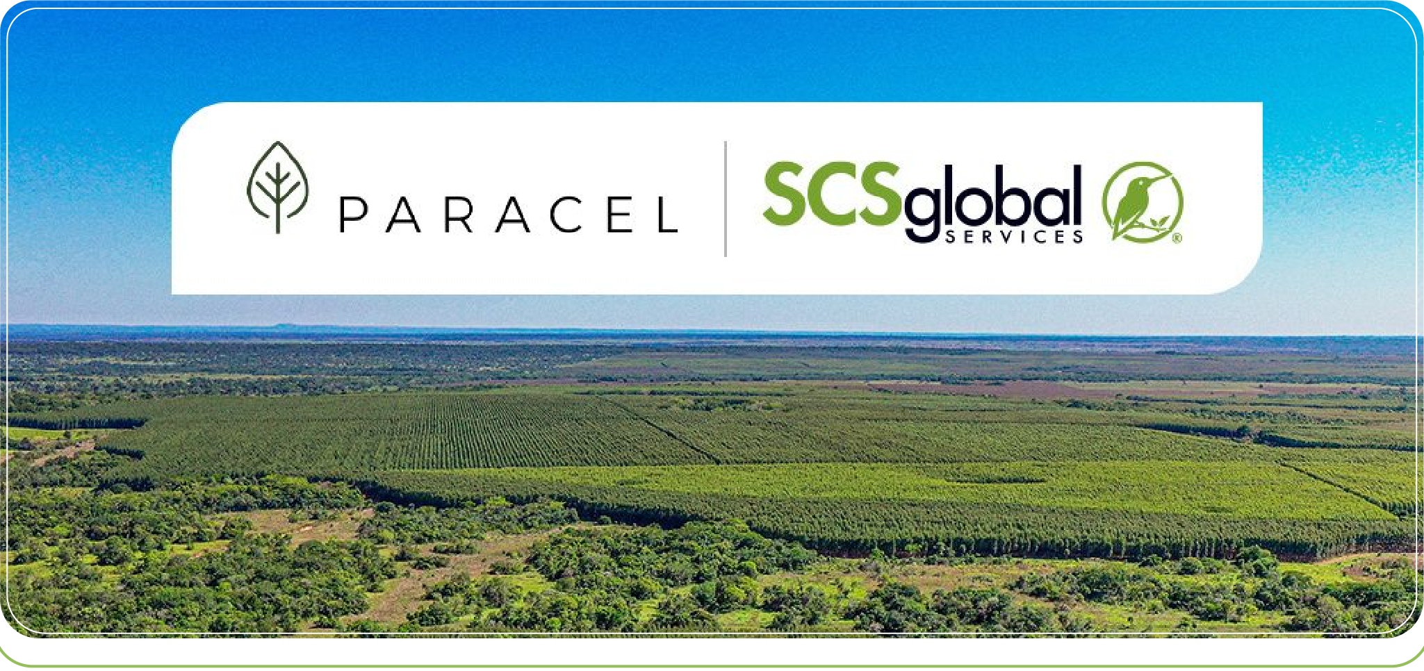 Paracel marca un hito en Paraguay: Obtiene certificación forestal y lidera la transformación hacia la sostenibilidad